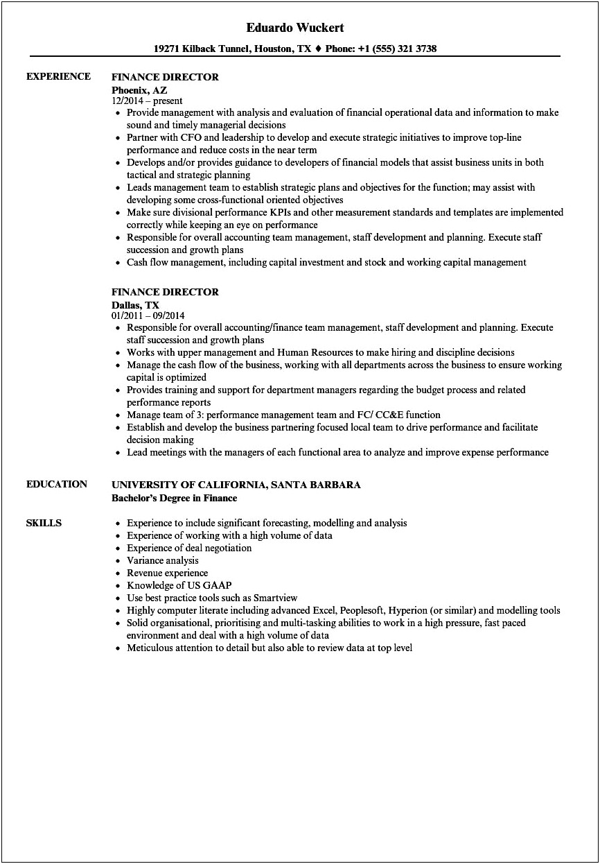 Director Of Finance Resume Objective