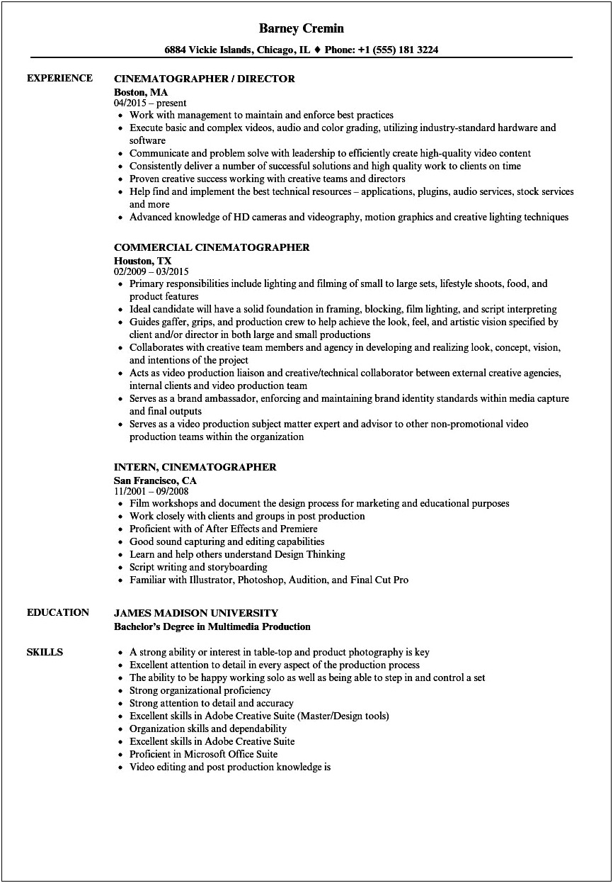Director Of Photography Resume Example