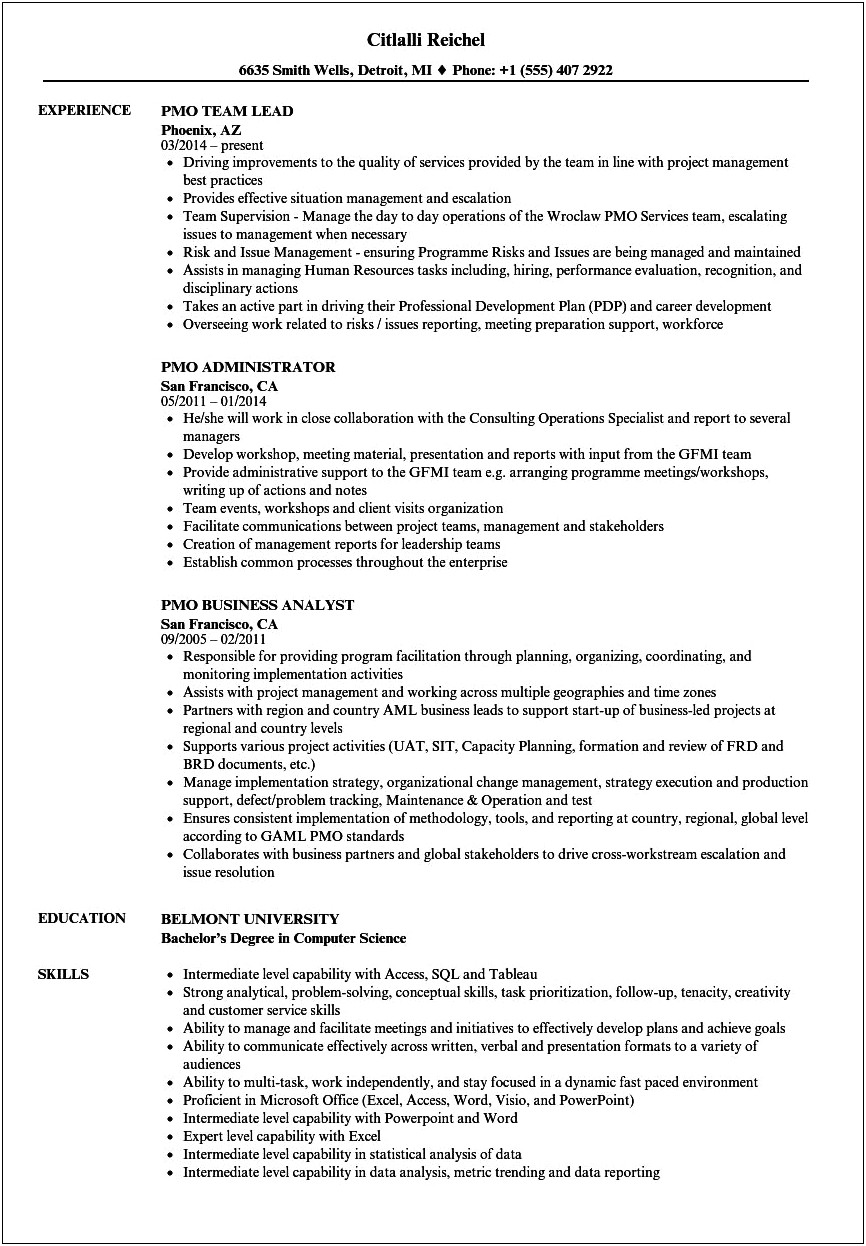 Director Of Pmo Resume Samples