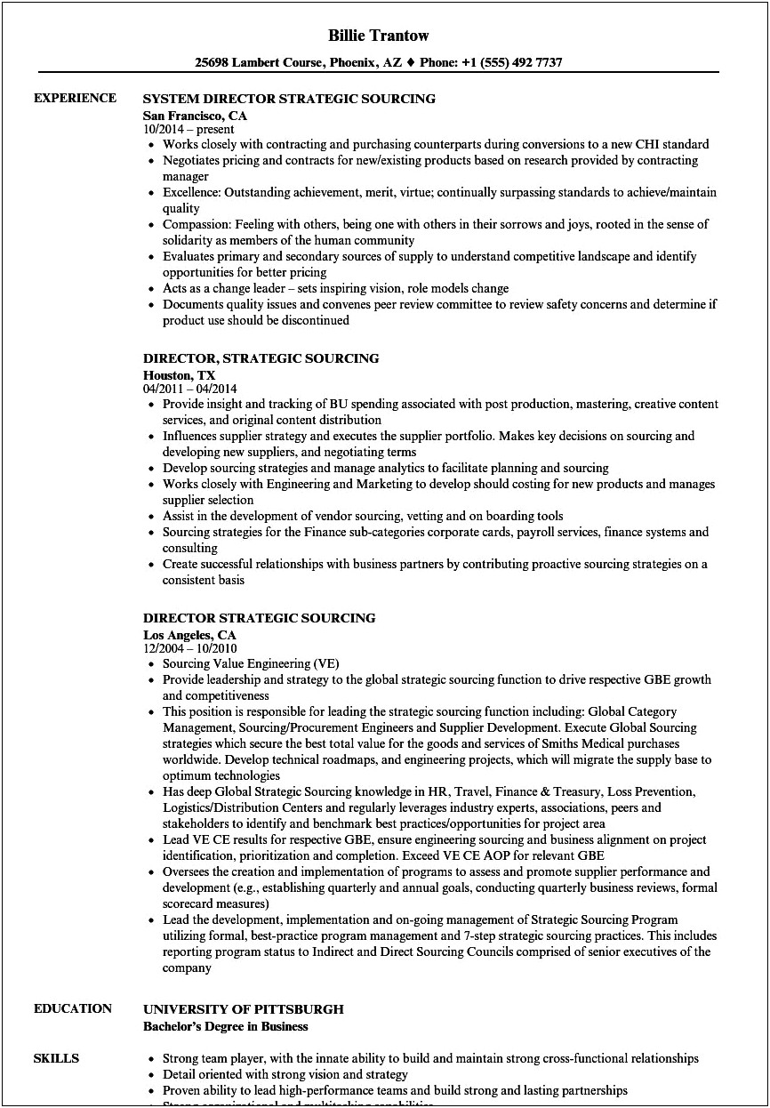 Director Of Sourcing Resume Examples
