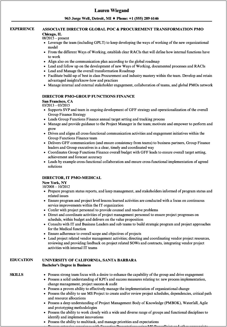 Director Project Management Office Resume