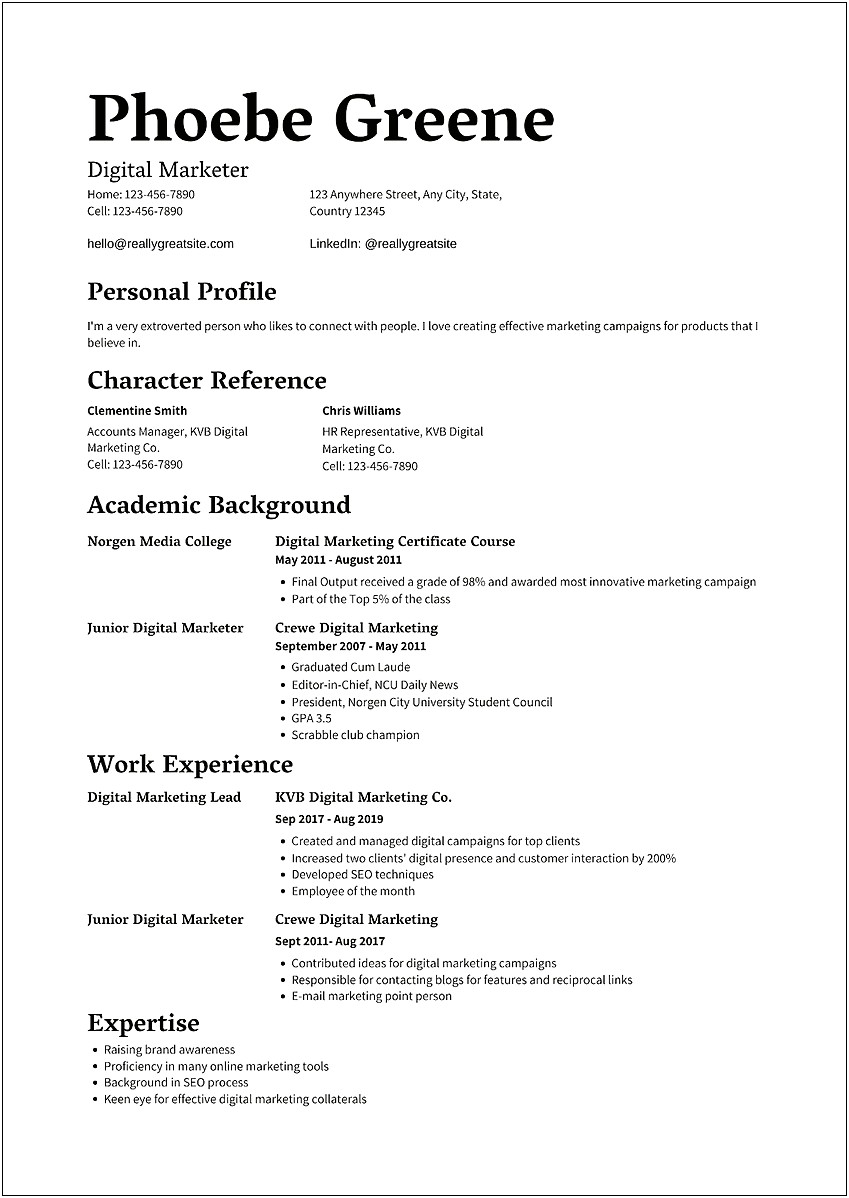 Diversity And Inclusion Resume Examples