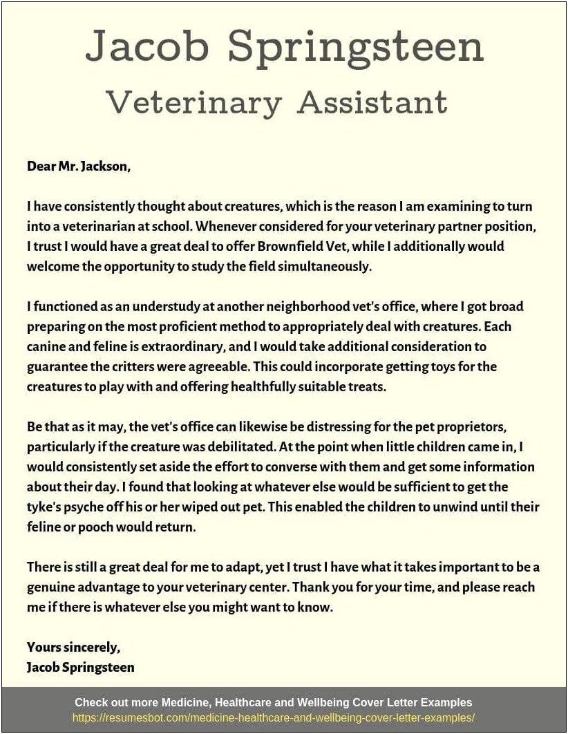 Dog Groomer And Vet Assistant Resume Examples