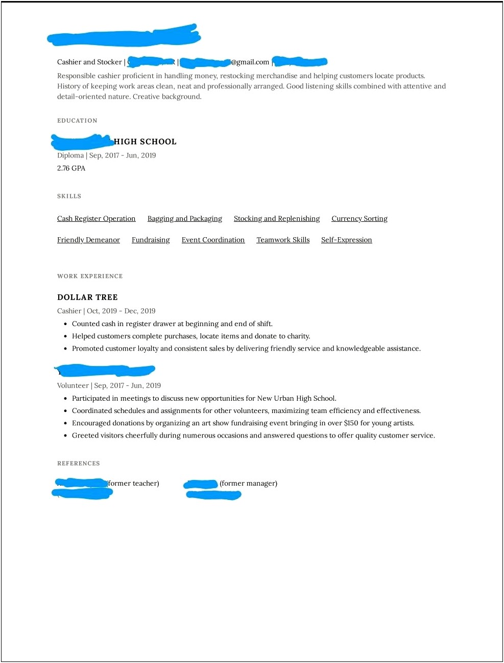Dollar Tree Merchandising Manager Resume