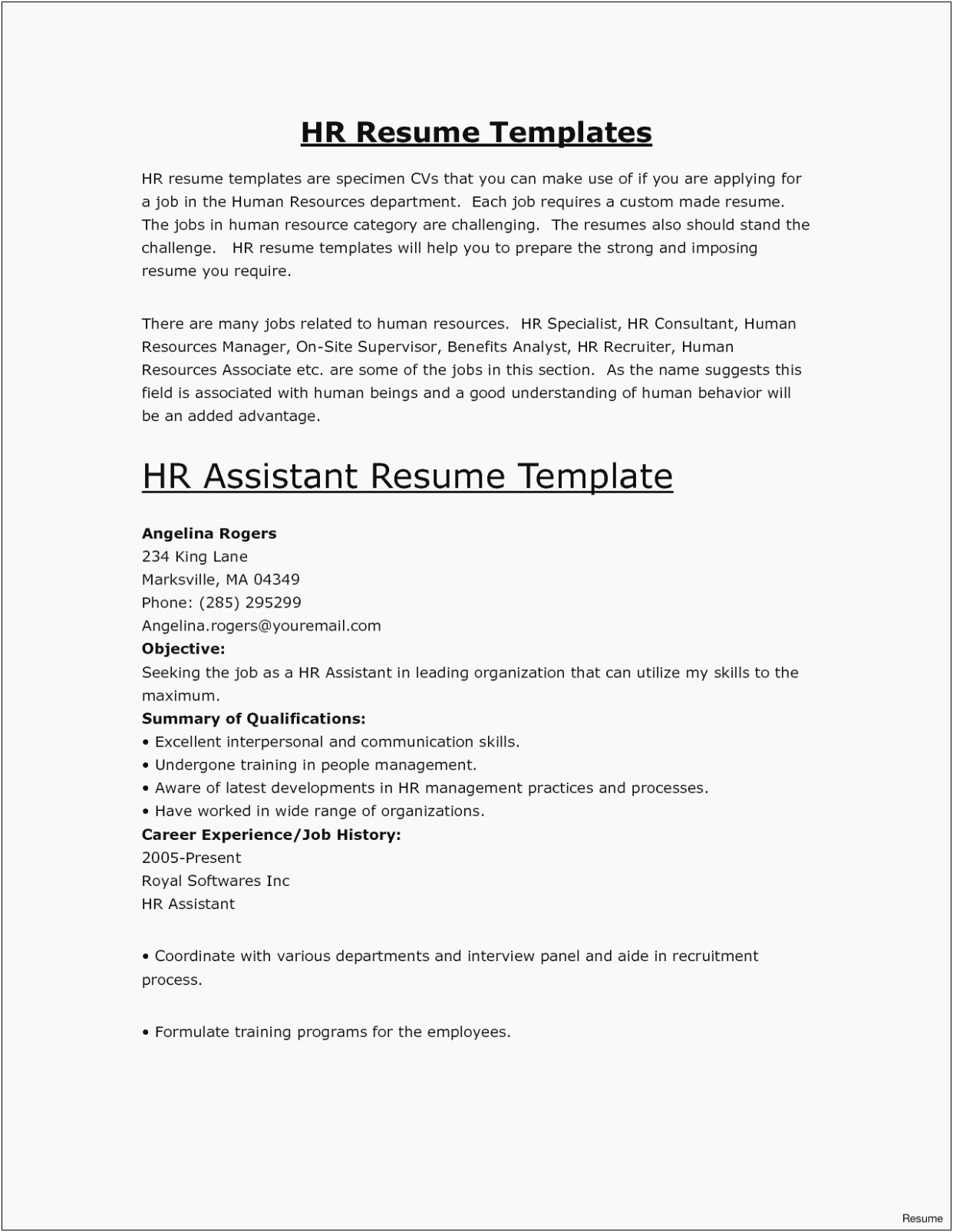 Driver Recruiter Job Description For Resume
