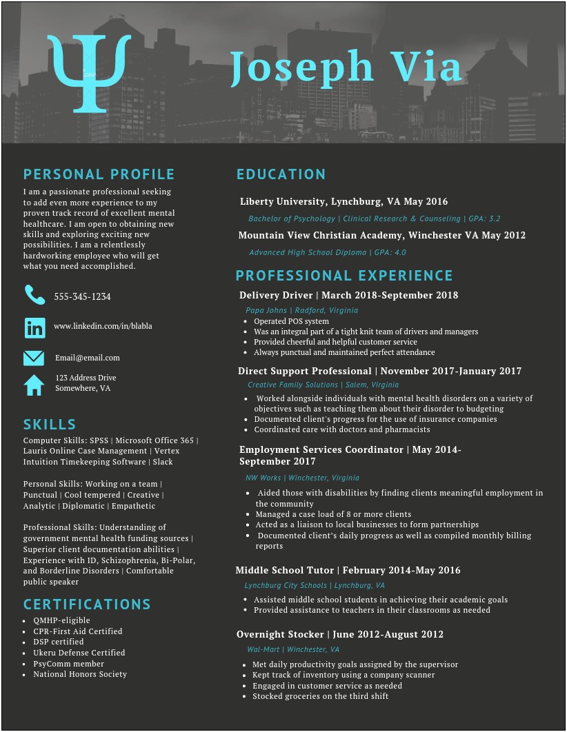 Dsp Job Description For Resume