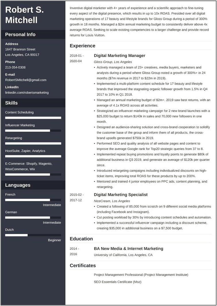 Ecommerce Marketing Manager Resume Sample