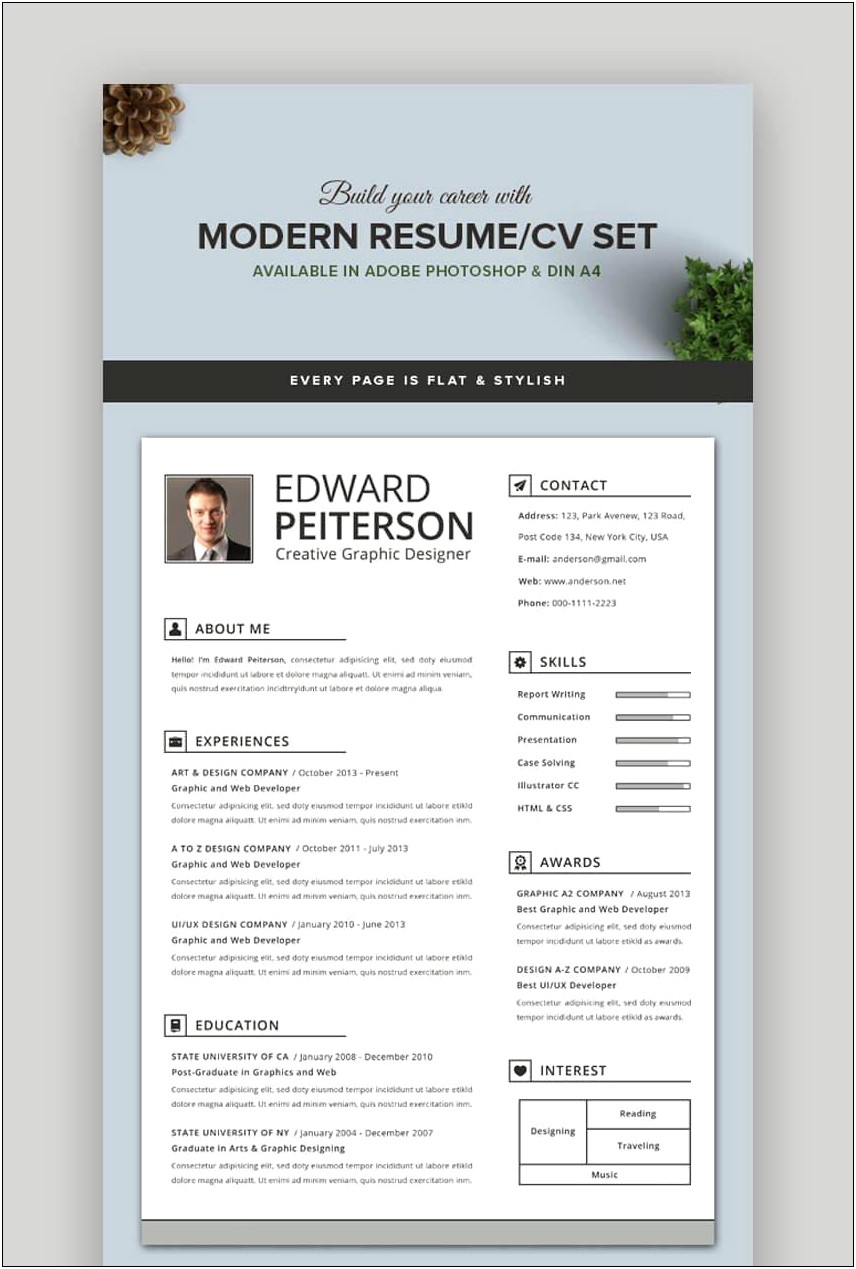 Effective Resume Profile Examples Cheekyscientists