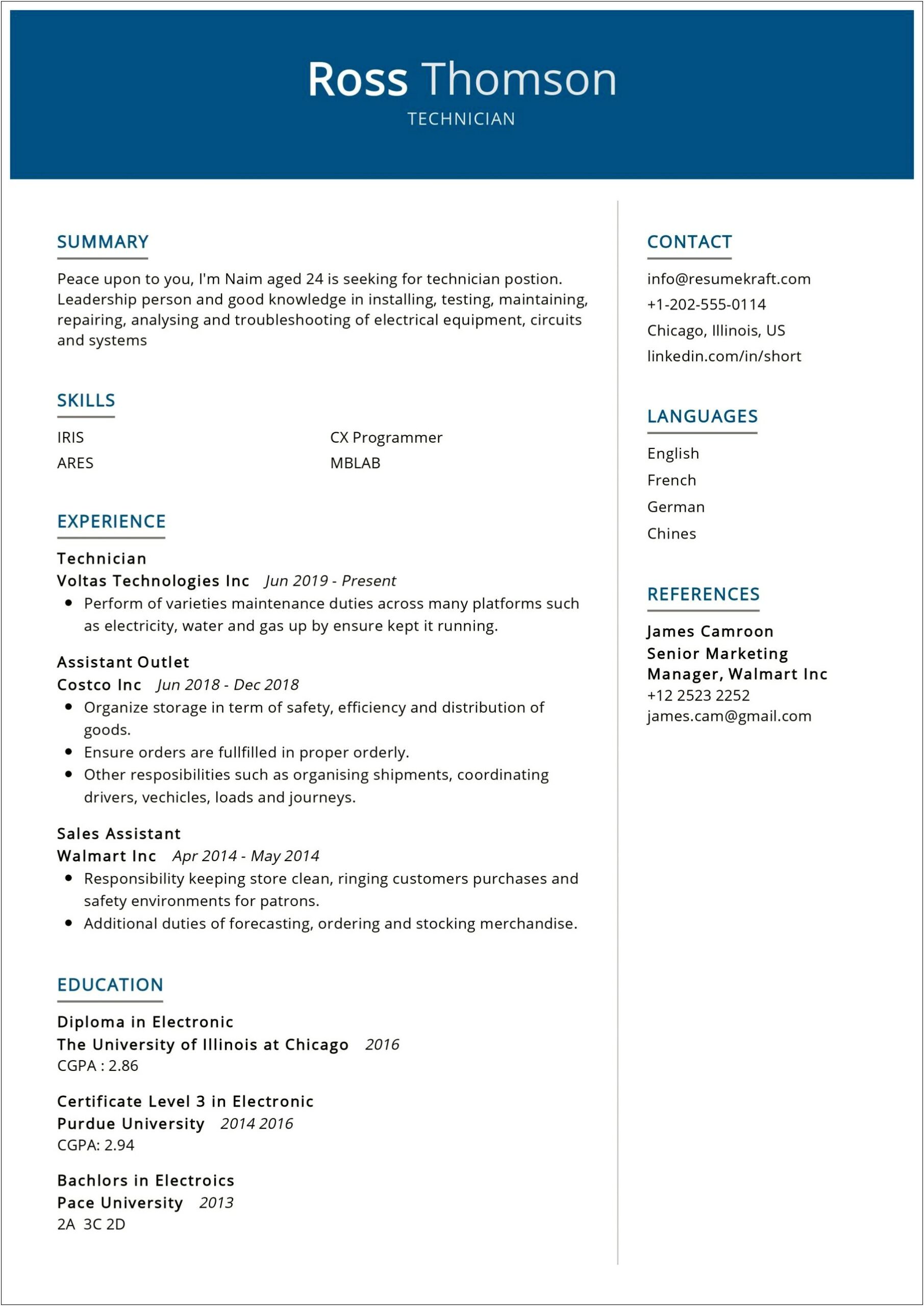 Electrical And Instrumentation Technician Resume Sample