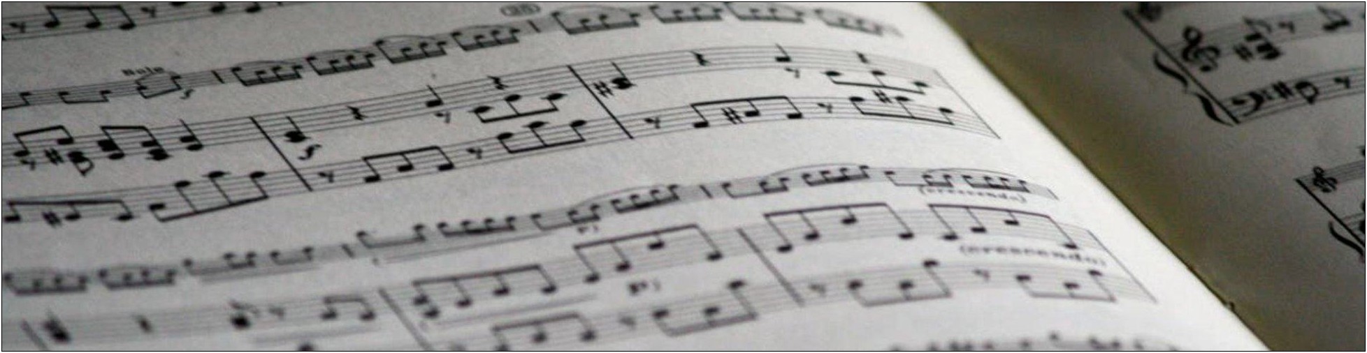 Elementary Music Teacher Resume Skills List