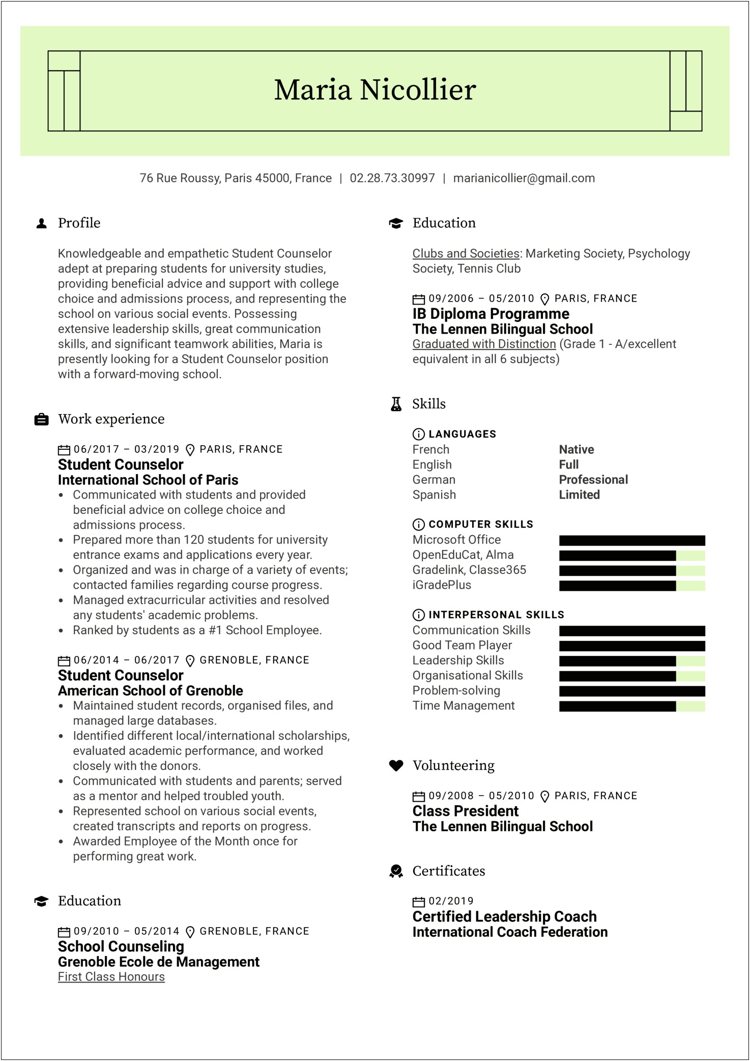 Elementary School Counselor Resume Examples
