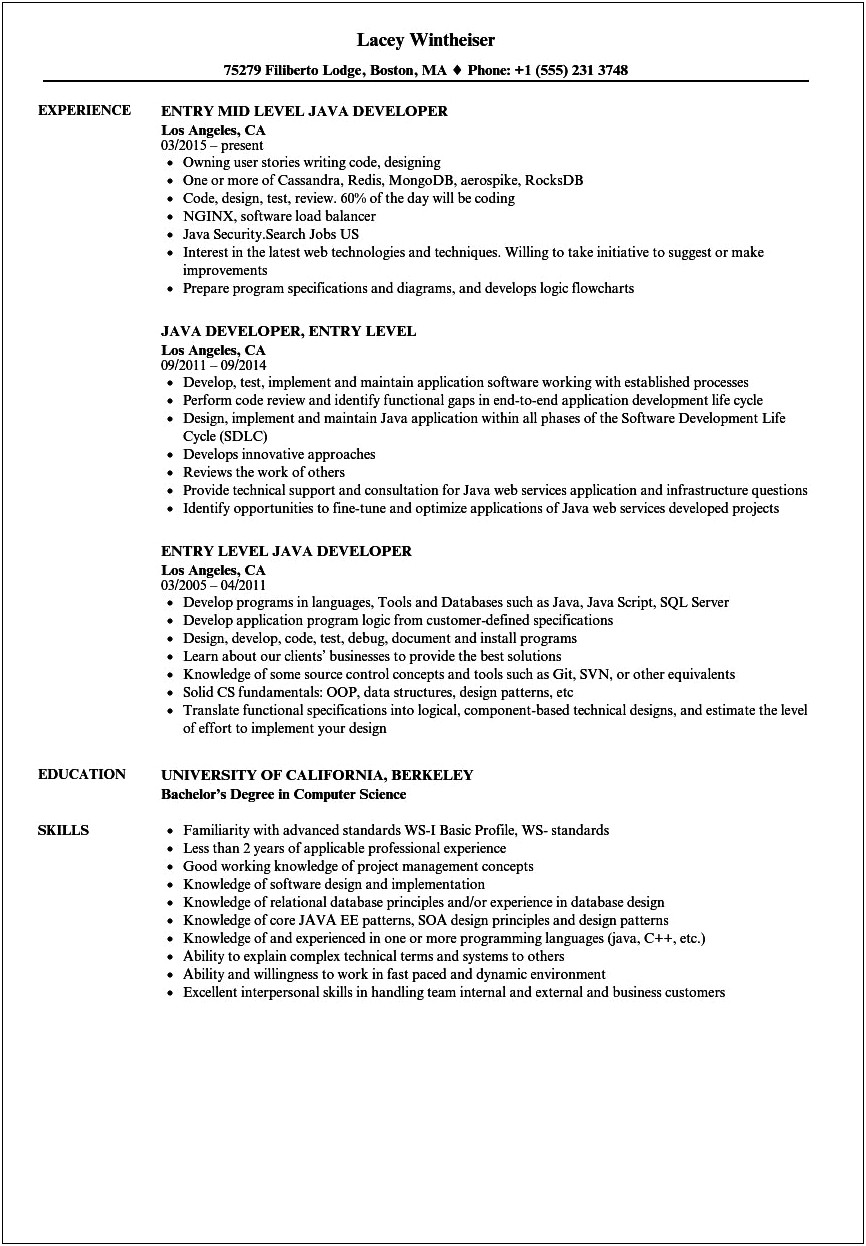Entry Level Computer Science Jobs Resume No Experience