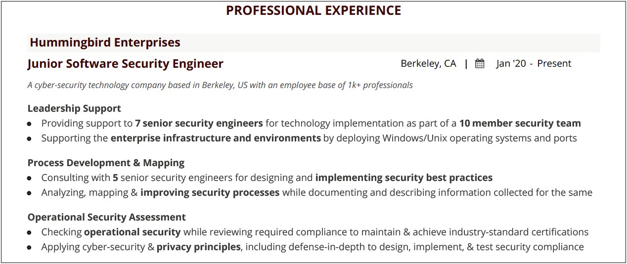 Entry Level Cyber Security Resume Template