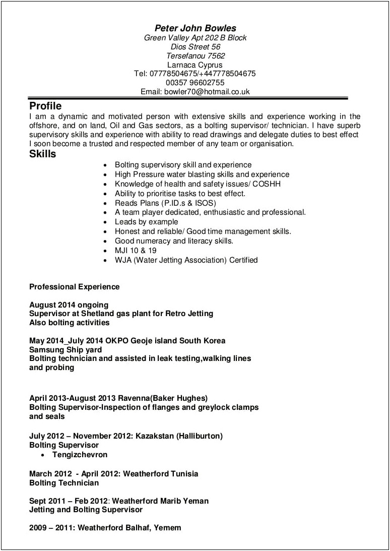 Entry Level Halliburton Job Resume Examples