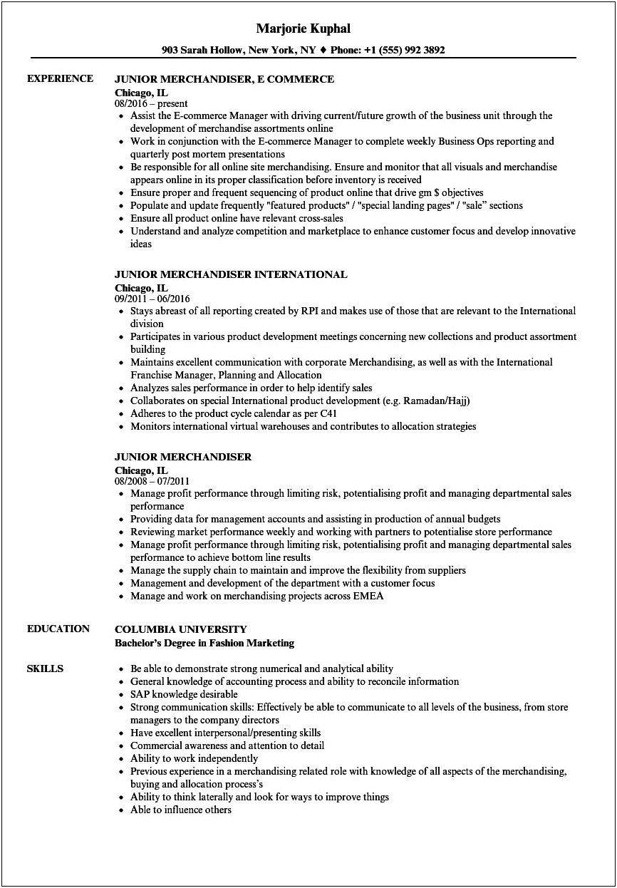 Entry Level Merchandising Resume Professional Summary Resume
