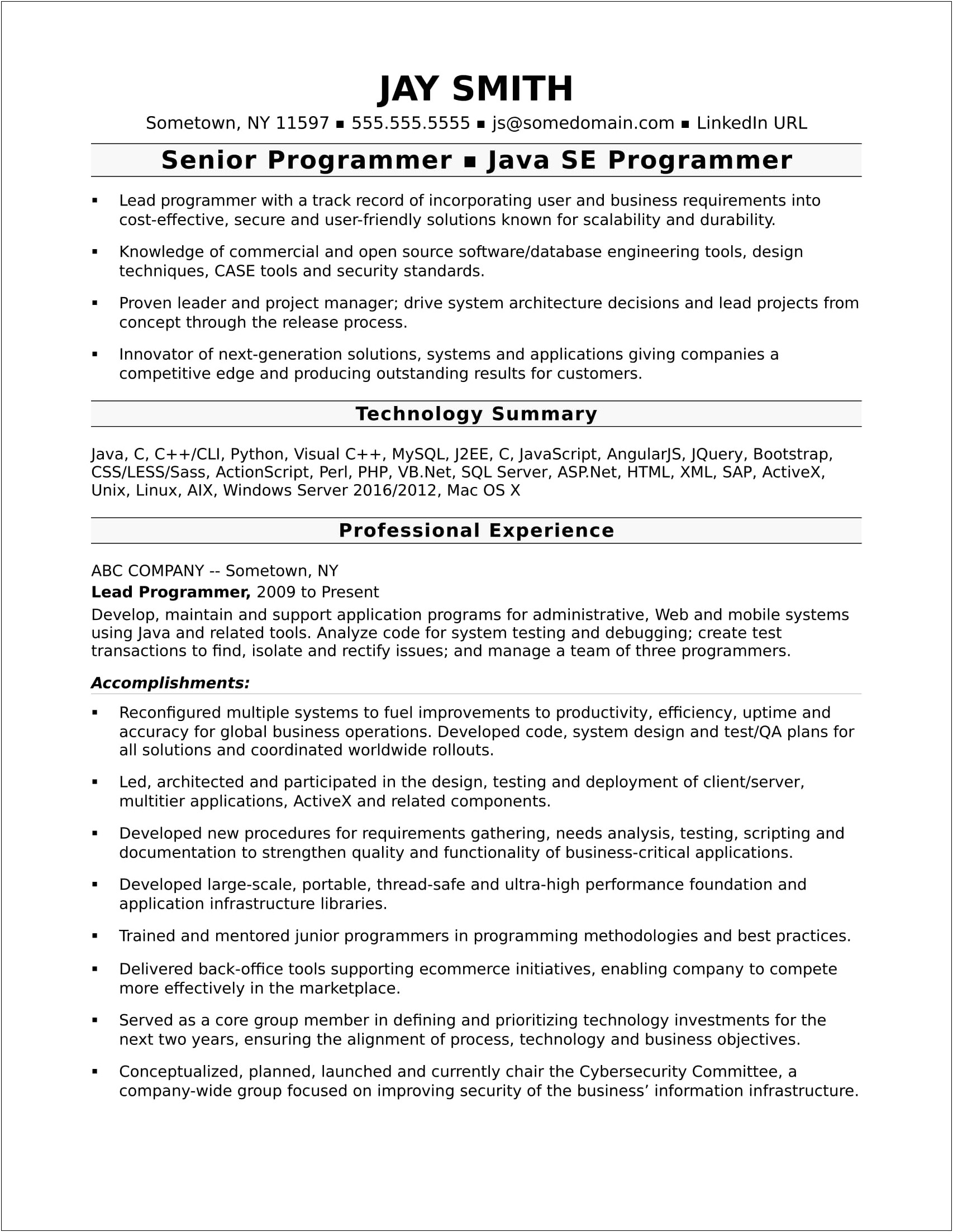 Entry Level Programmer Resume Example