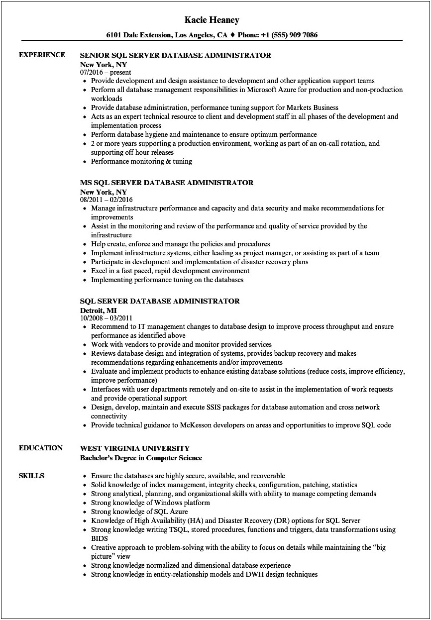 Entry Level Resume Examples By Industry Dba Developer