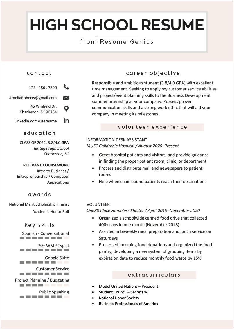 Entry Level Resume Samples For Highschool Students