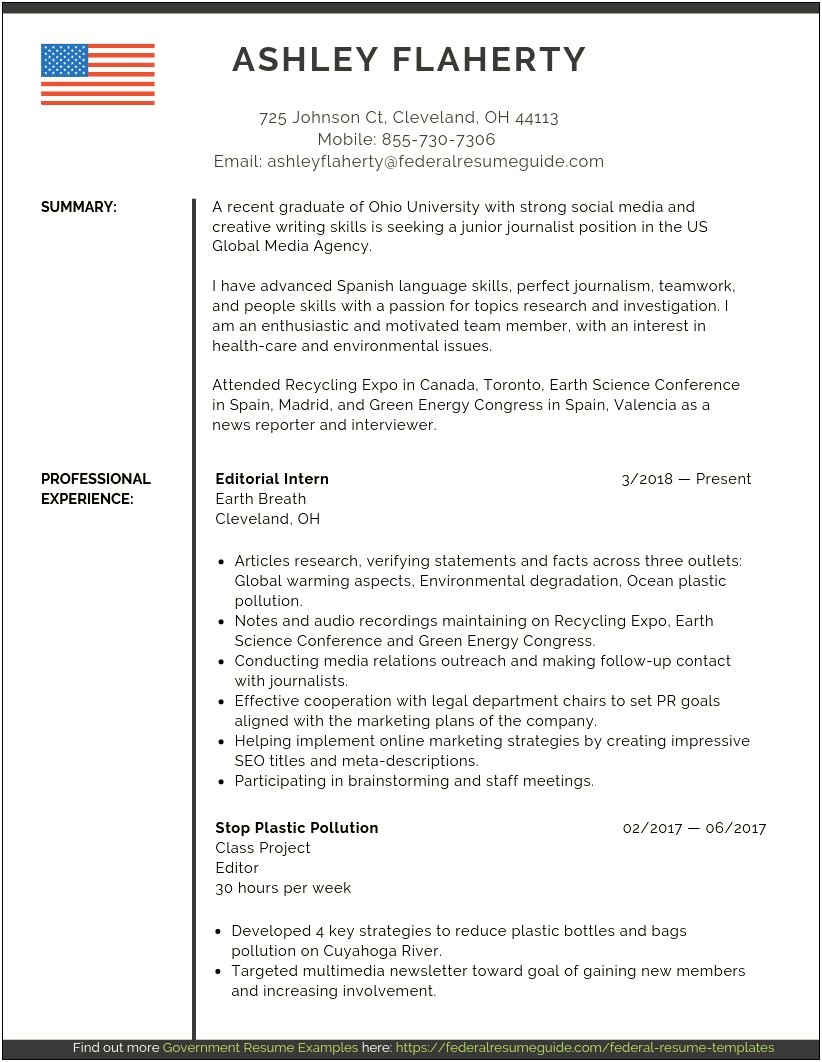 Entry Level Resume Template Good Example