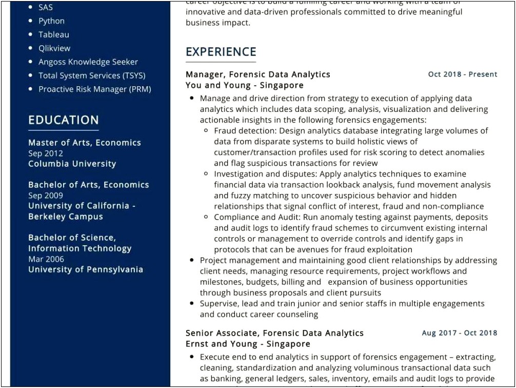 Ernst And Young Resume Sample