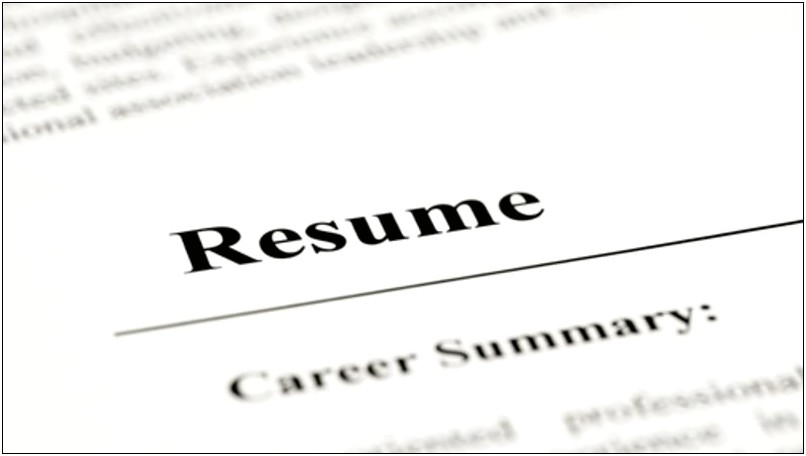 Everest Resume Template Free Download