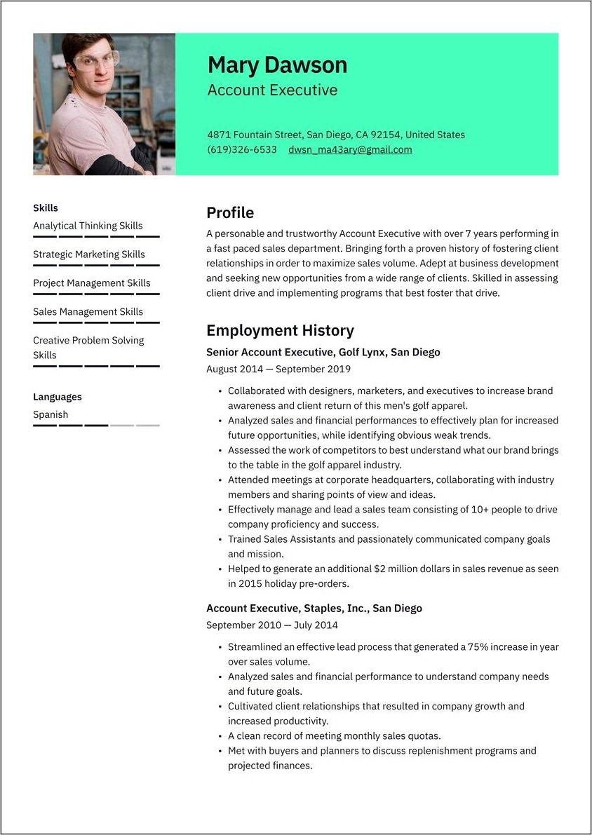 Example Executive It Resume Introduction