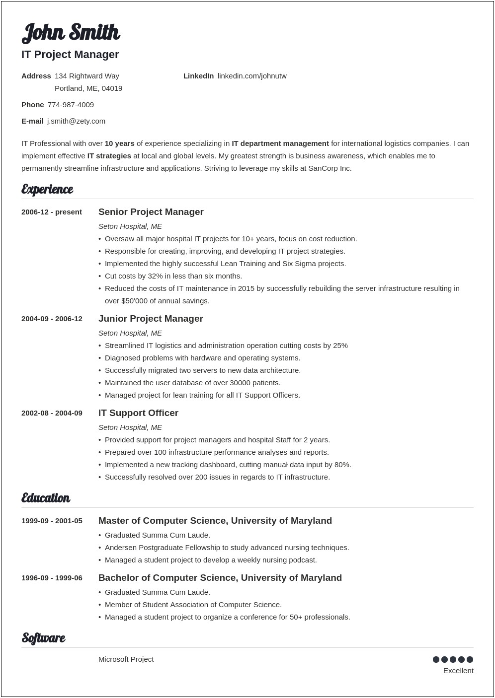 Example For A Perfect Resume
