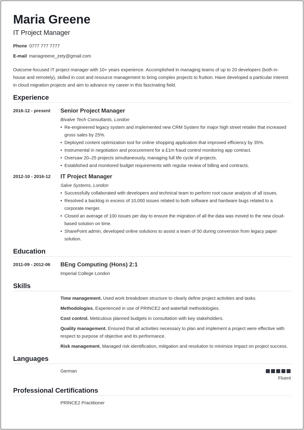 Example It Project Lead Resume