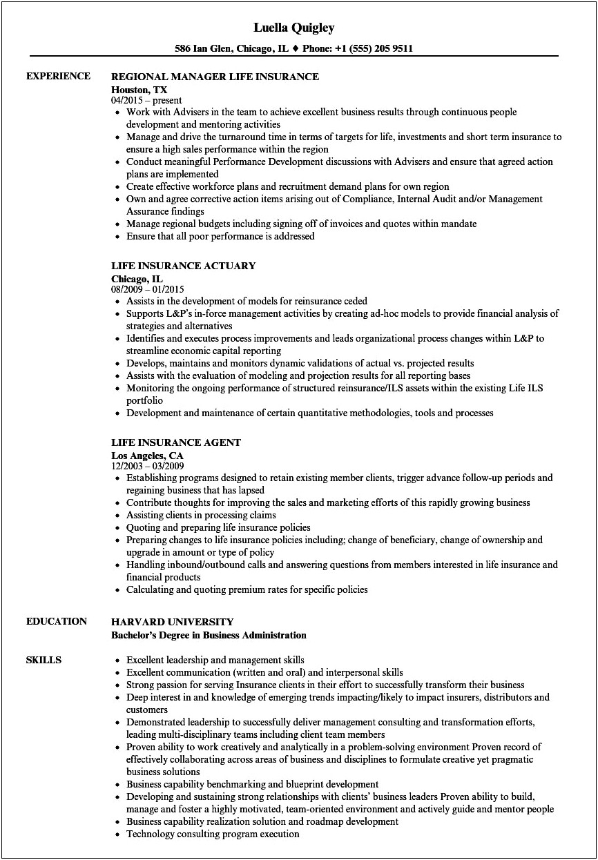 Example Objective For Insurance Resume