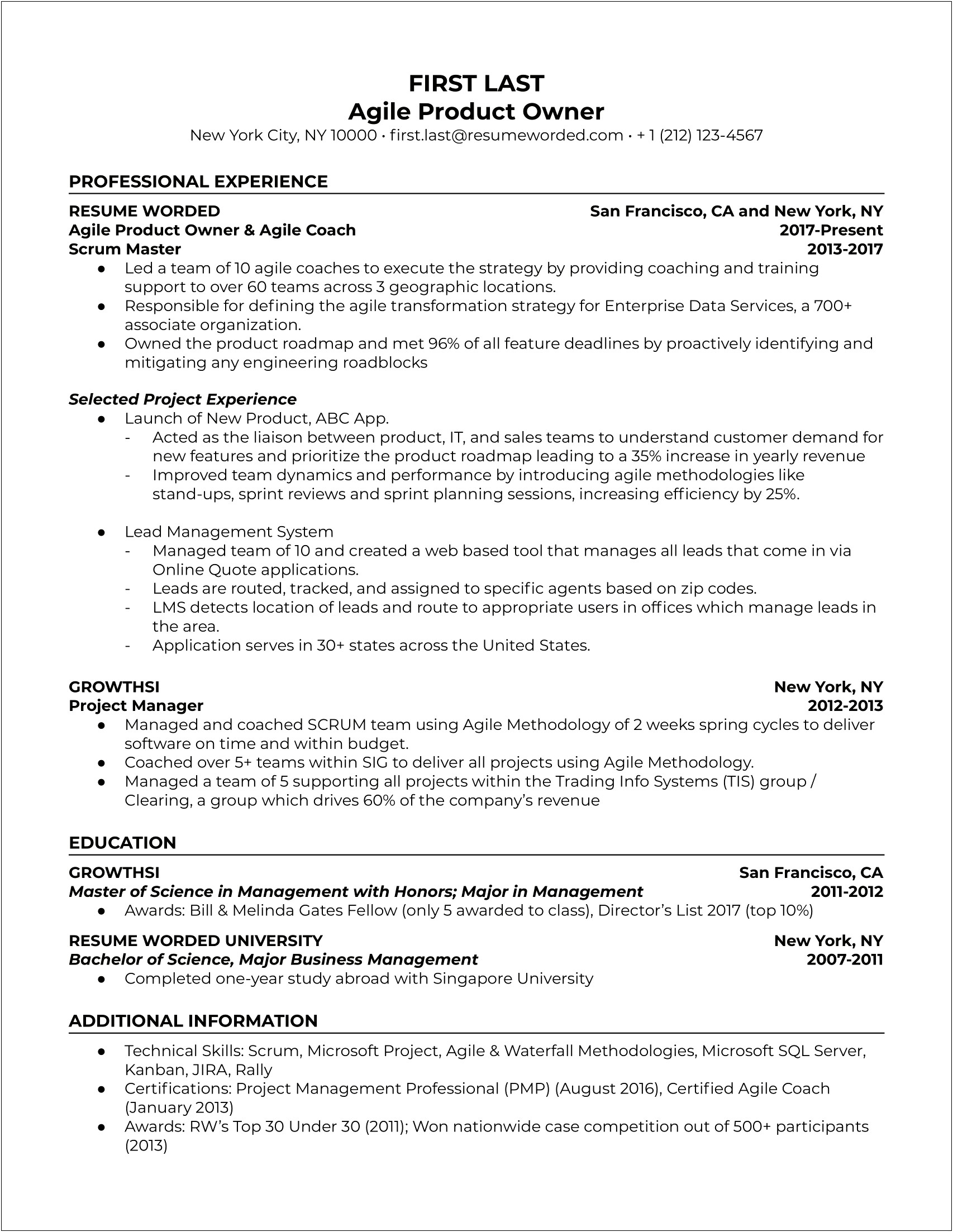 Example Of A Business Owner Resume
