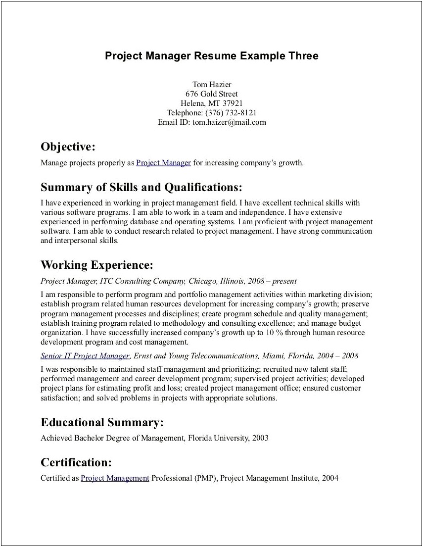 Example Of A Good Resume Summary Statement