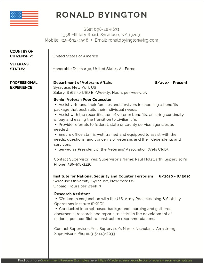 Example Of A Government Resume Format