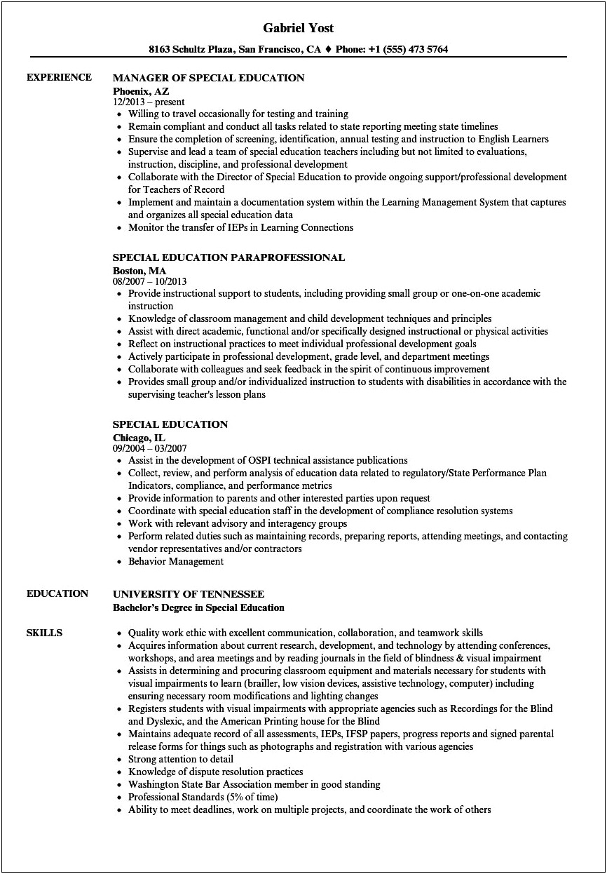 Example Of A Paraprofessional Resume