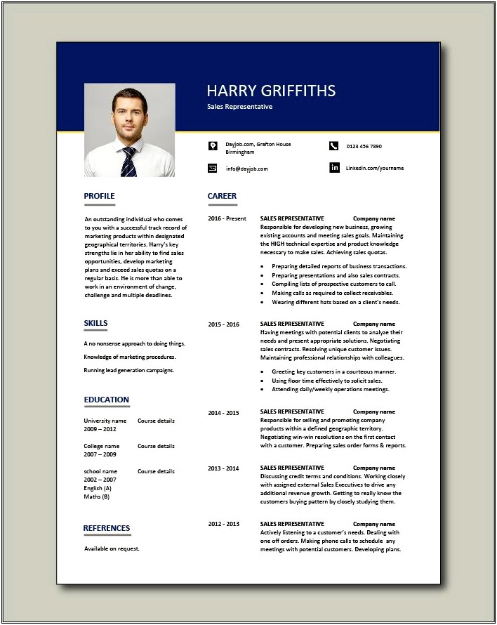 Example Of A Sales Professional Resume