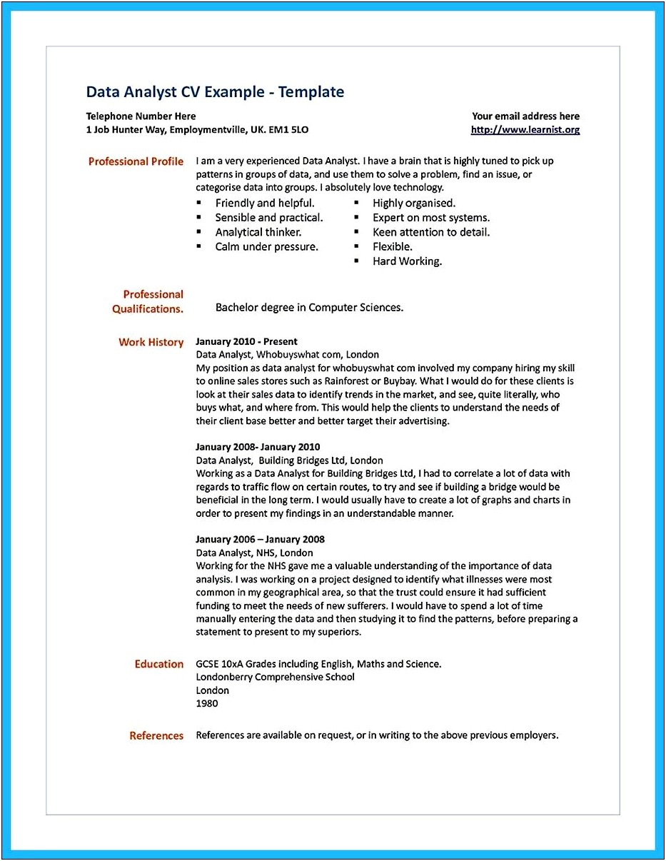 Example Of Analytical Resume Format