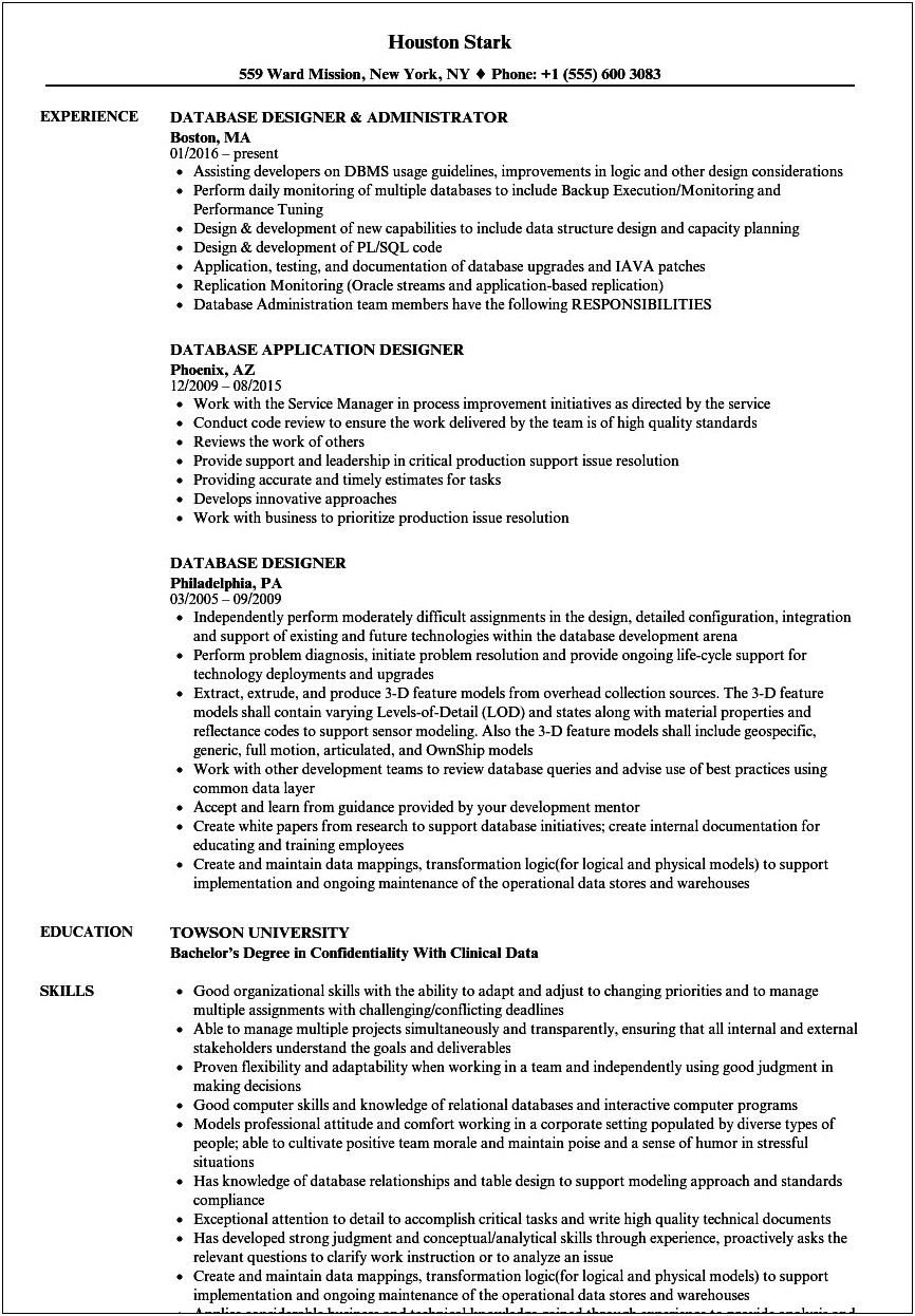 Example Of Attractive Database Resume