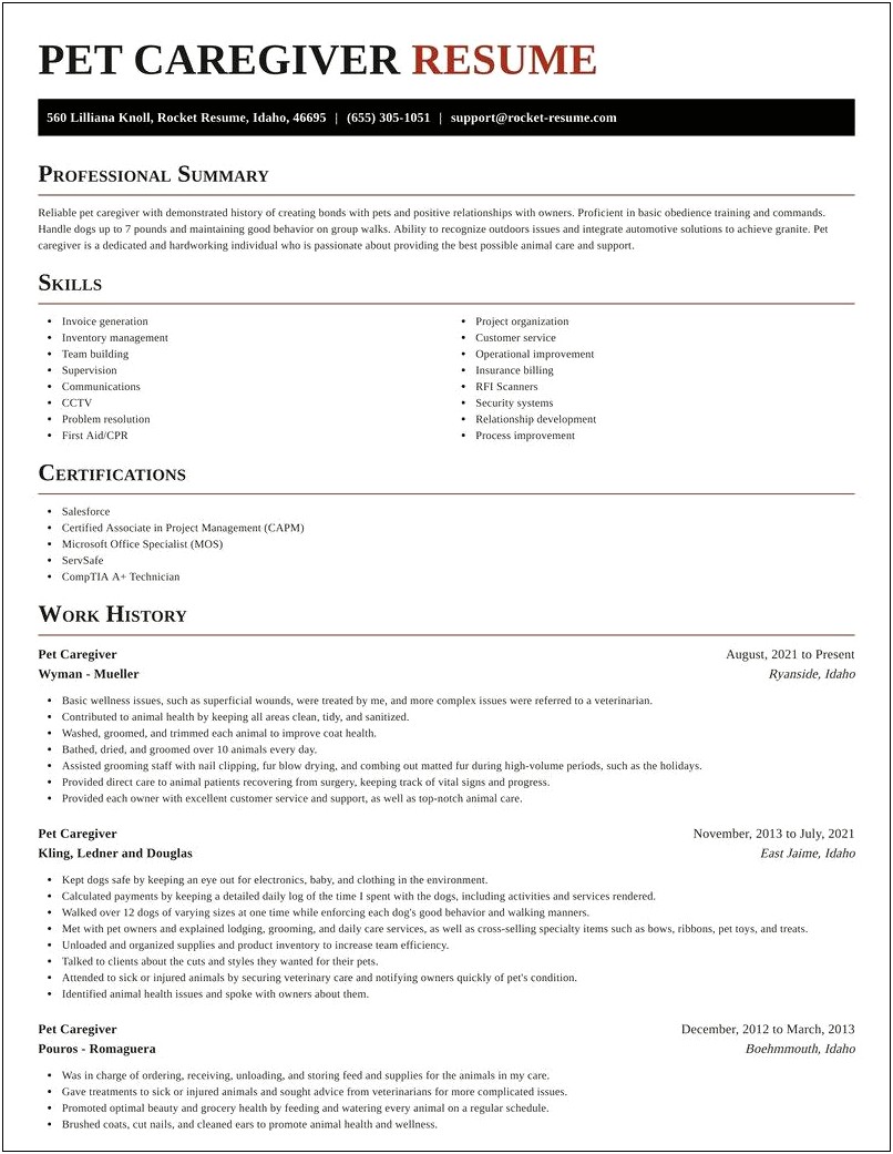Example Of Care Giver Resume