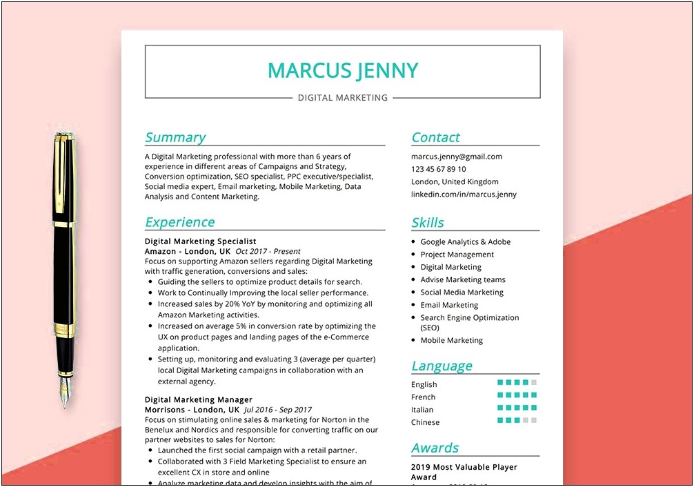 Example Of Digital Marketing Resume