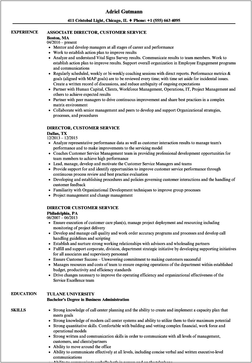 Example Of Director Of Support Resume