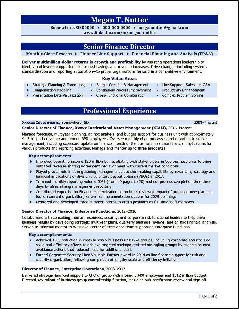 Example Of Finance Director Resume