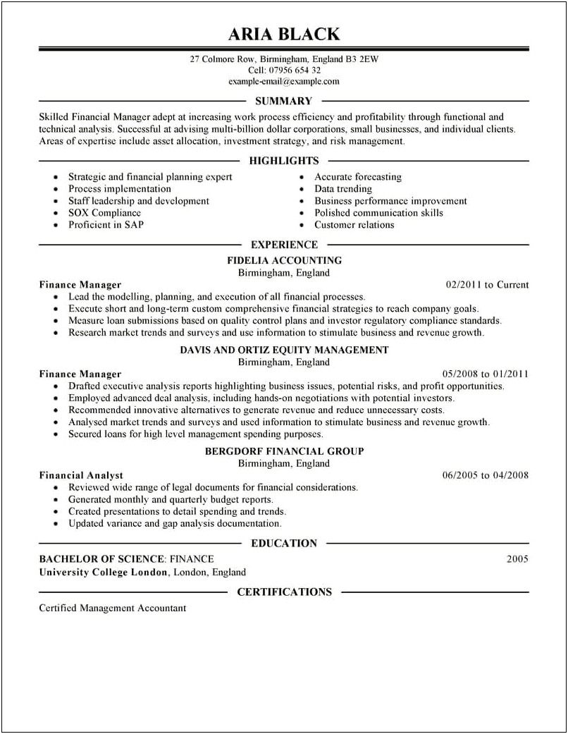 Example Of Finance Manager Resume