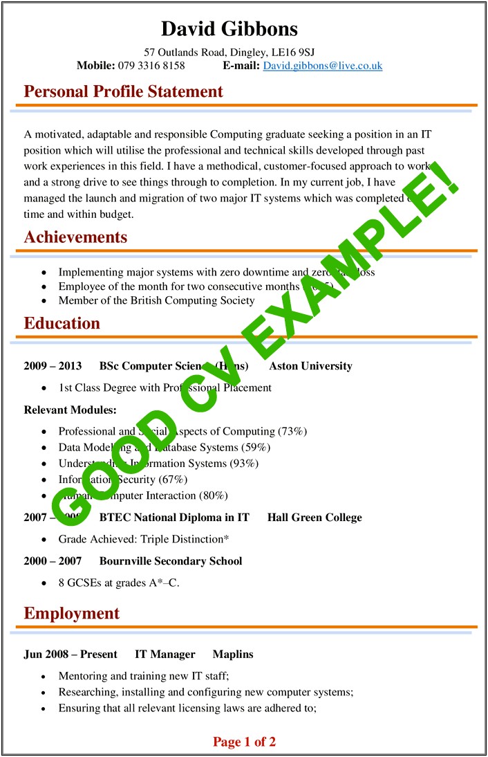 Example Of Good Professional Resume