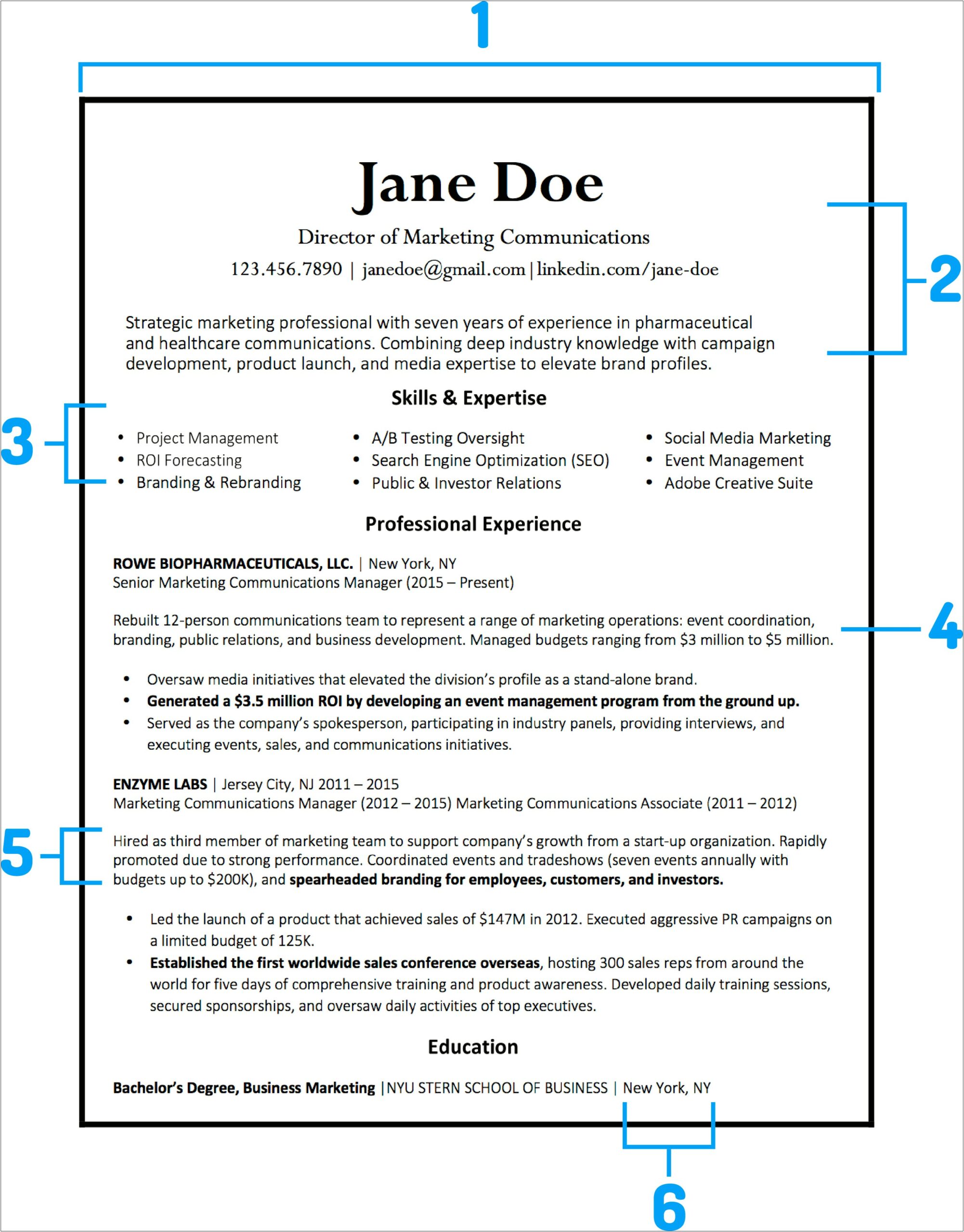 Example Of Professional Resume 2018