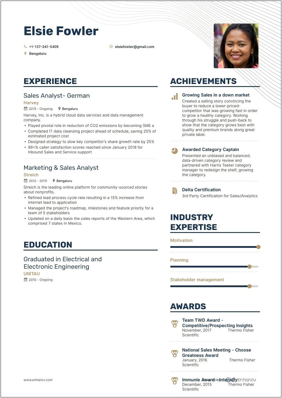 Example Of Sales Experience Resume