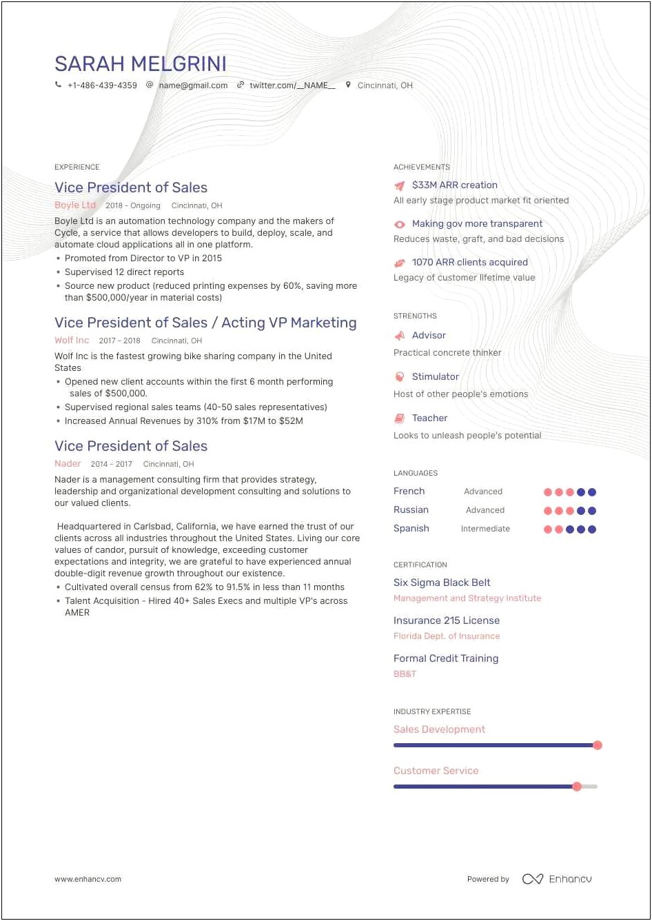 Example Of Vice President Resume