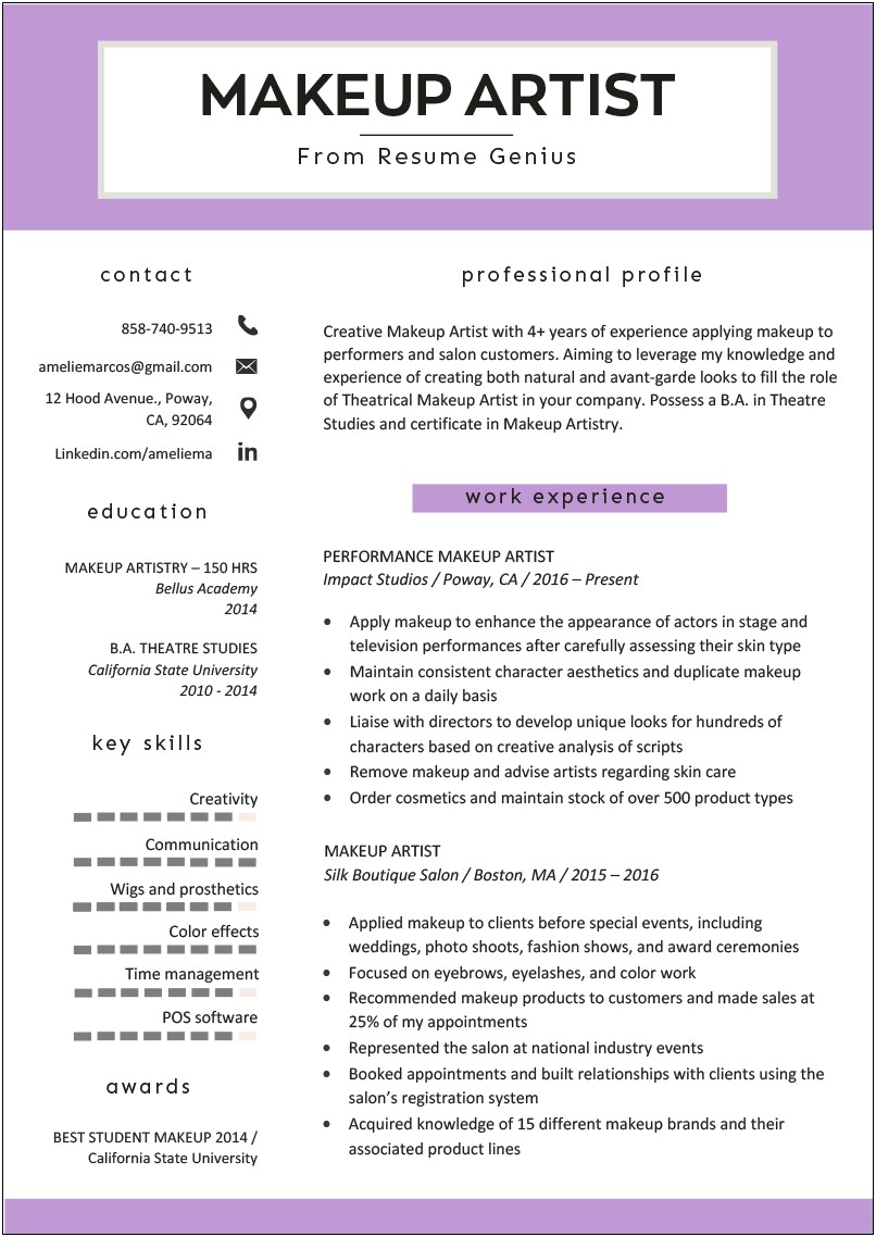 Example Resume For Artist Assistant