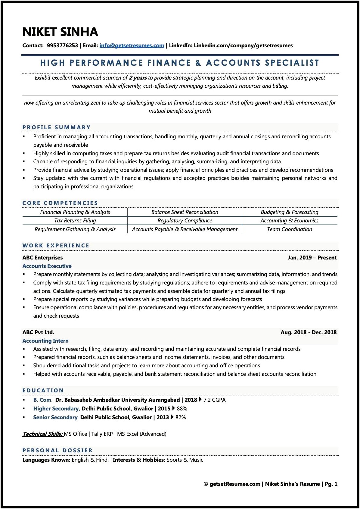 Example Resume For Financial Project Management