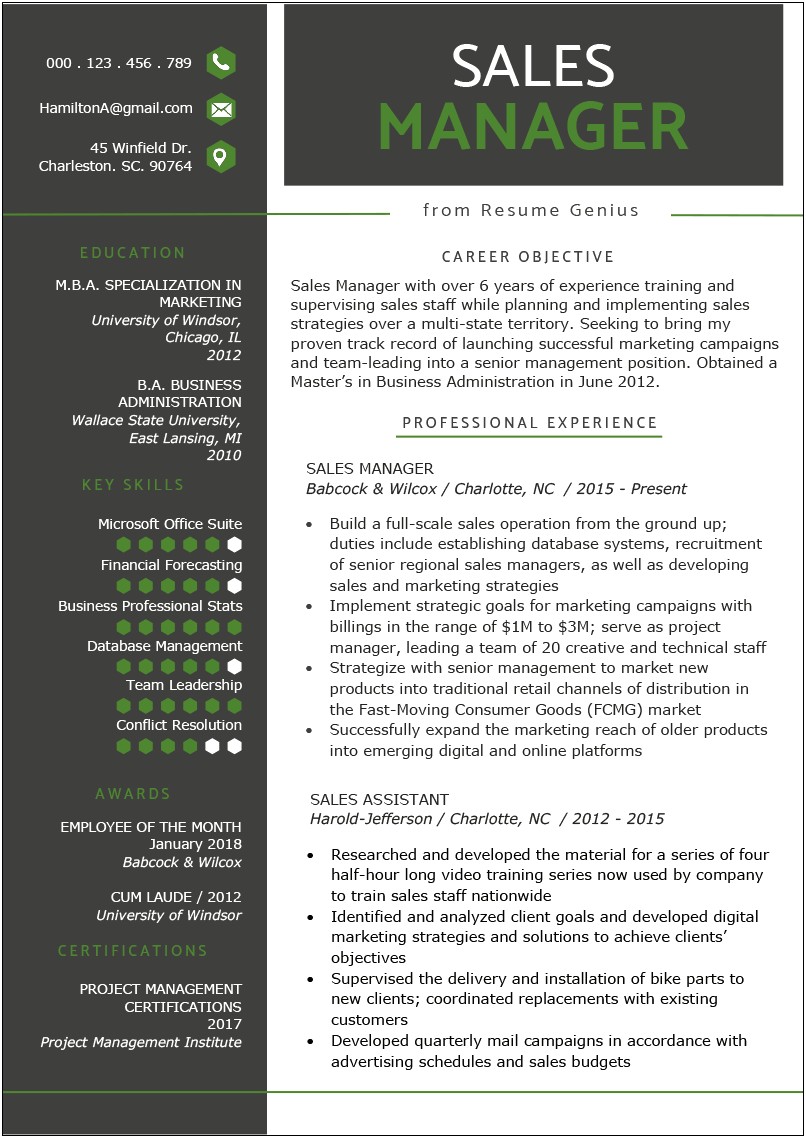 Example Resume For Sales Manager