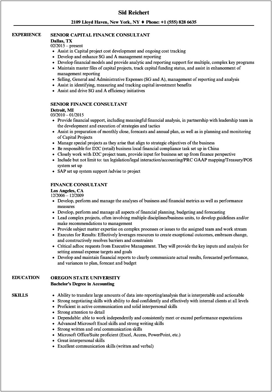Example Resume From Experienced Financial Consultant