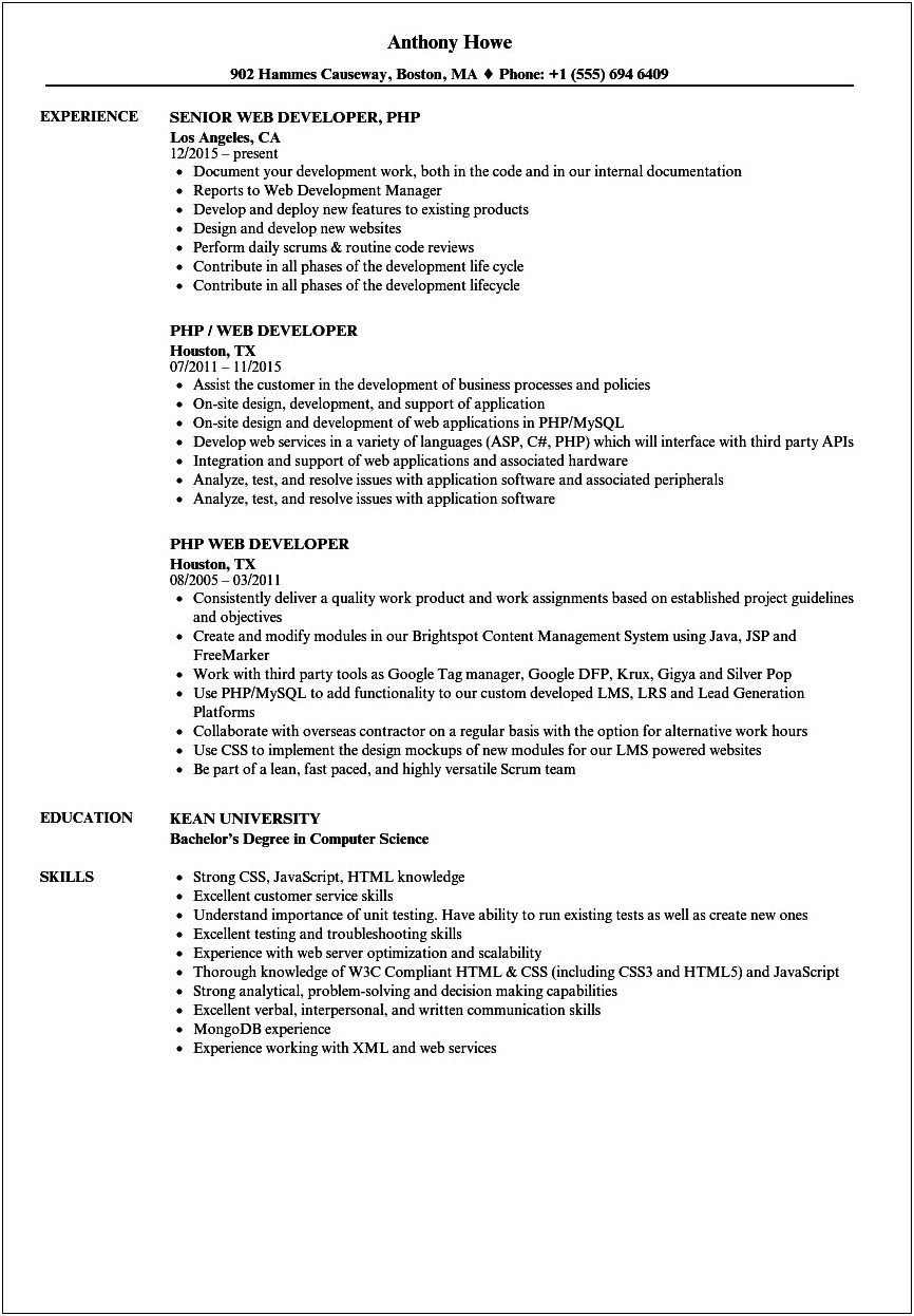 Example Resume Objectives For Developer